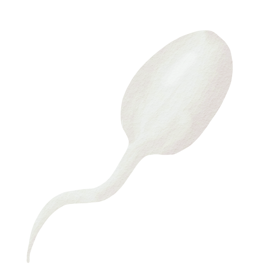 feature-item-1